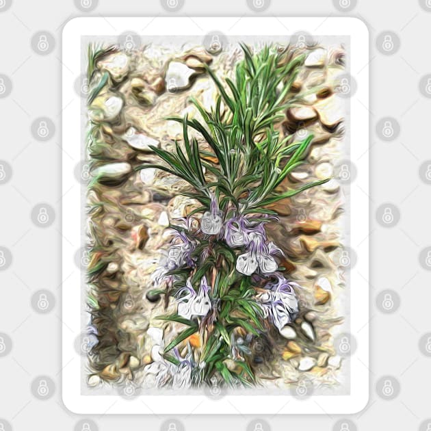 Rosemary blossom Sticker by MolinArte